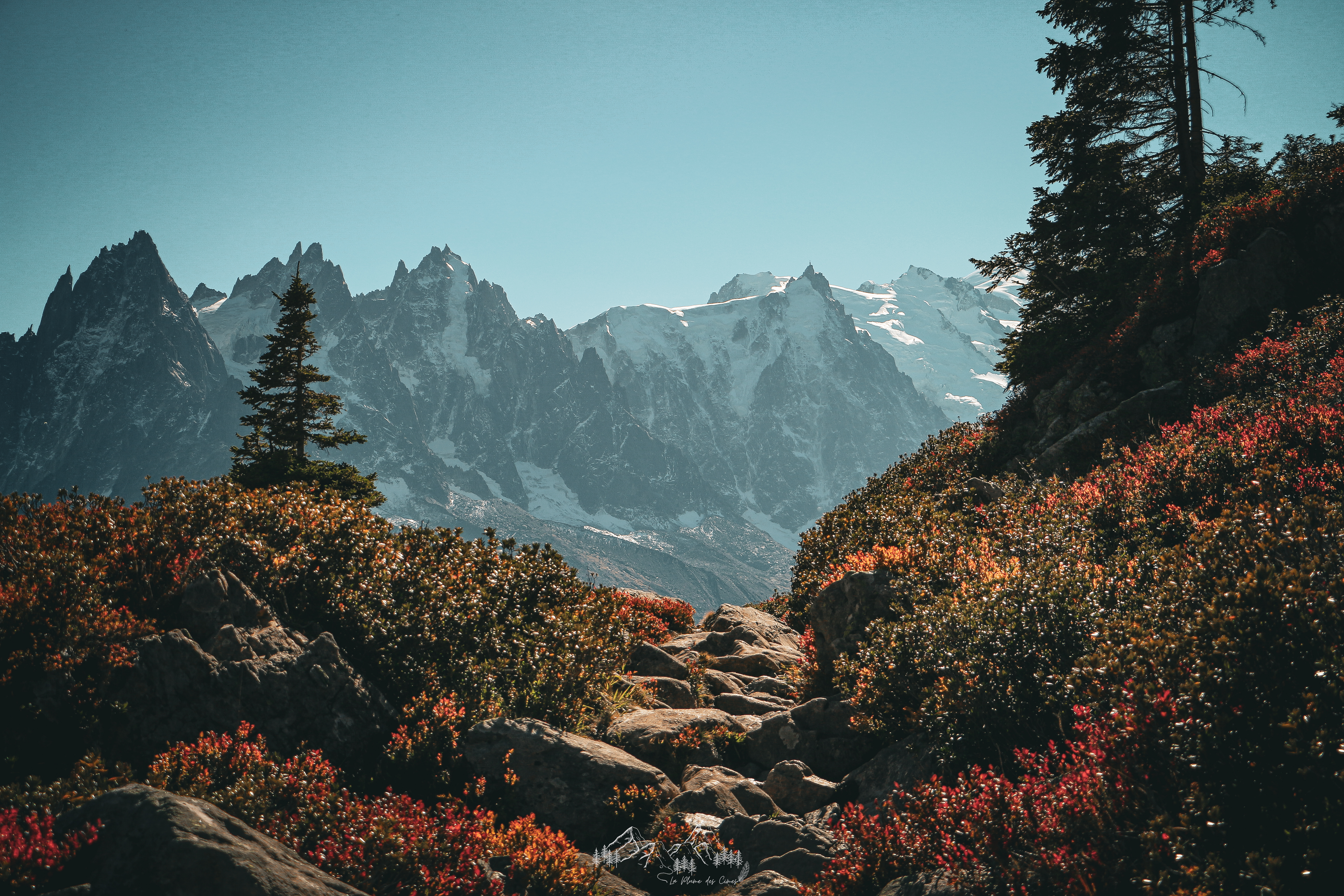 Chamonix © La Plume des Cimes